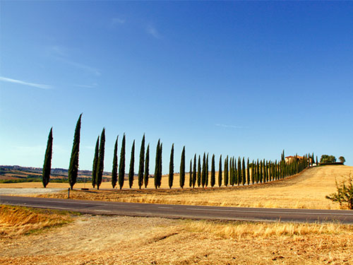 Poggio Covili Val d'Orcia Toscana